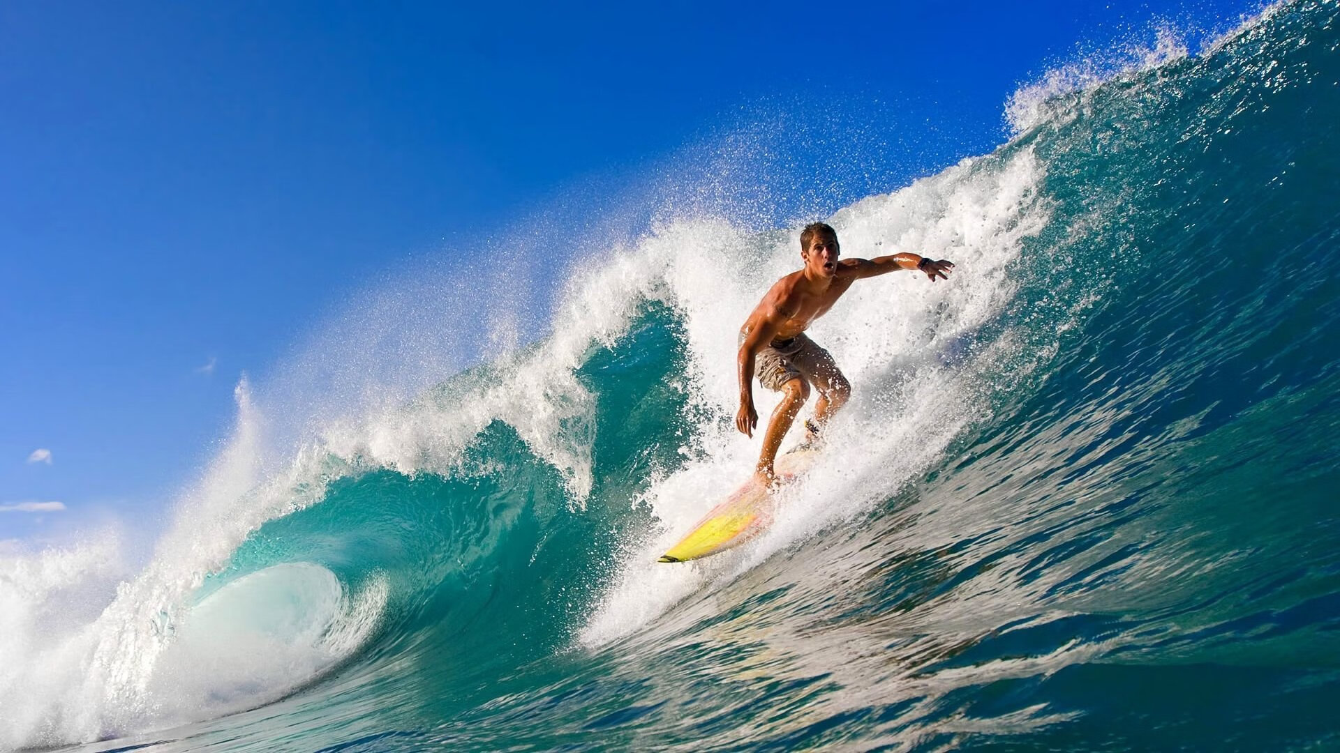 期待已久的“年度最佳新秀”投票即将开启,最佳新秀是谁